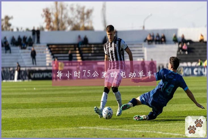 每小时75公里的电动单车