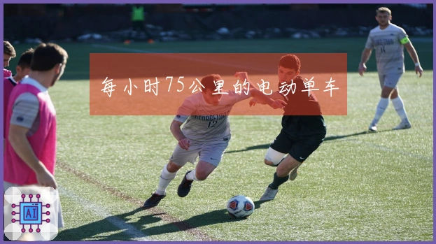 每小时75公里的电动单车