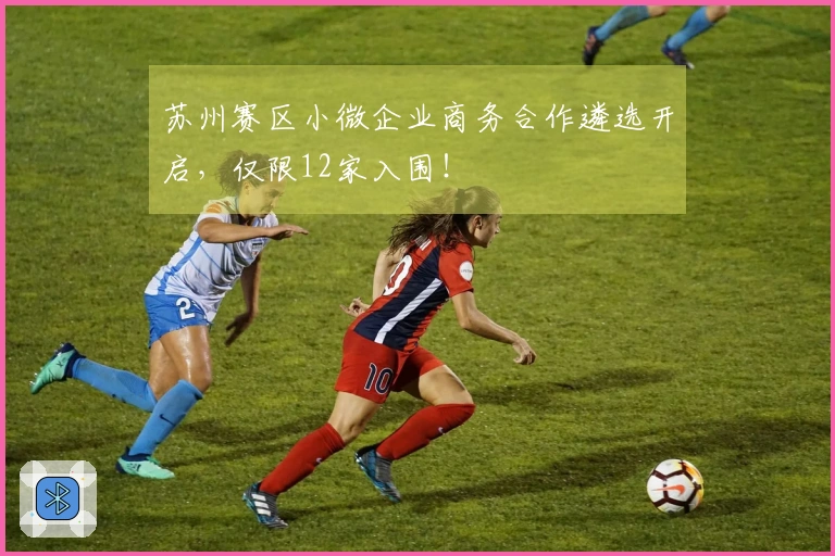 苏州赛区小微企业商务合作遴选开启，仅限12家入围！